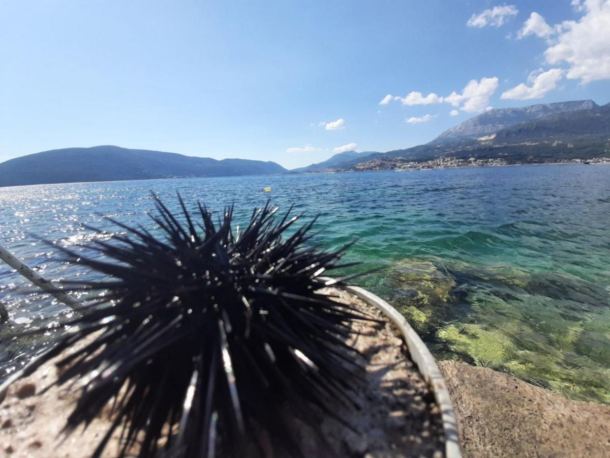 Casa De Laza Apartments Herceg Novi Eksteriør billede