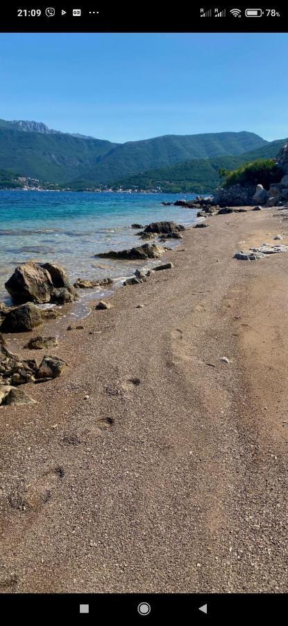 Casa De Laza Apartments Herceg Novi Eksteriør billede