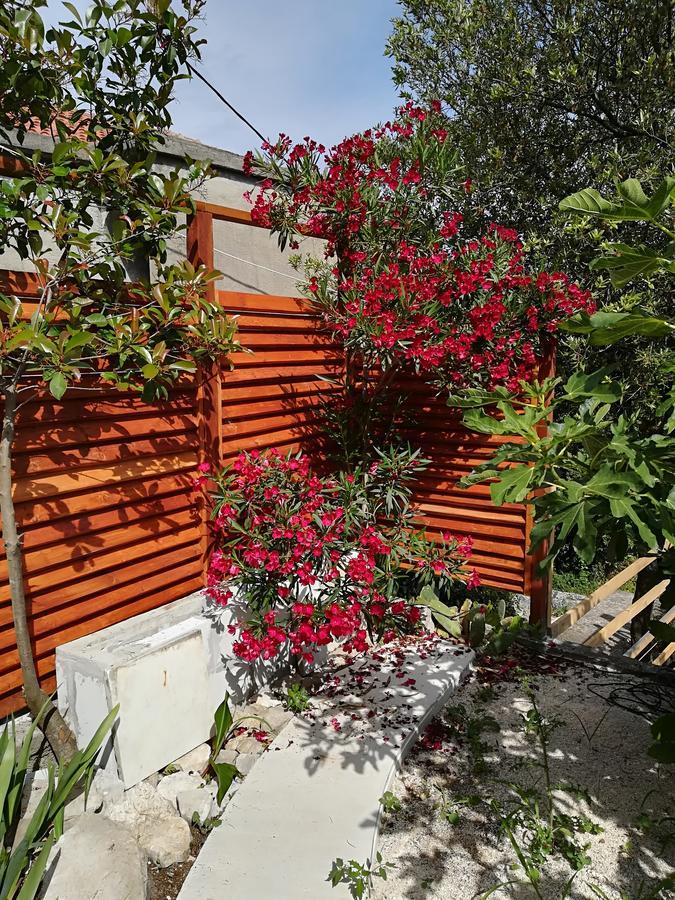 Casa De Laza Apartments Herceg Novi Eksteriør billede